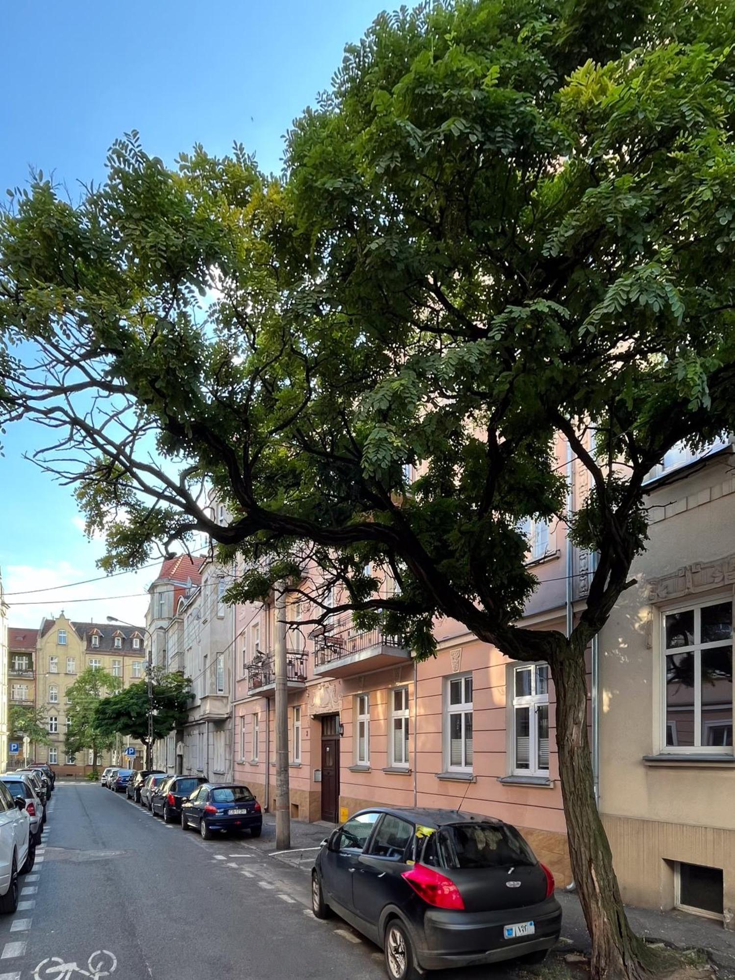 Apartament Dlugosza 3 - Jak W Domu - Idealny Na Dlugie Pobyty I Weekendy Bydhošť Exteriér fotografie